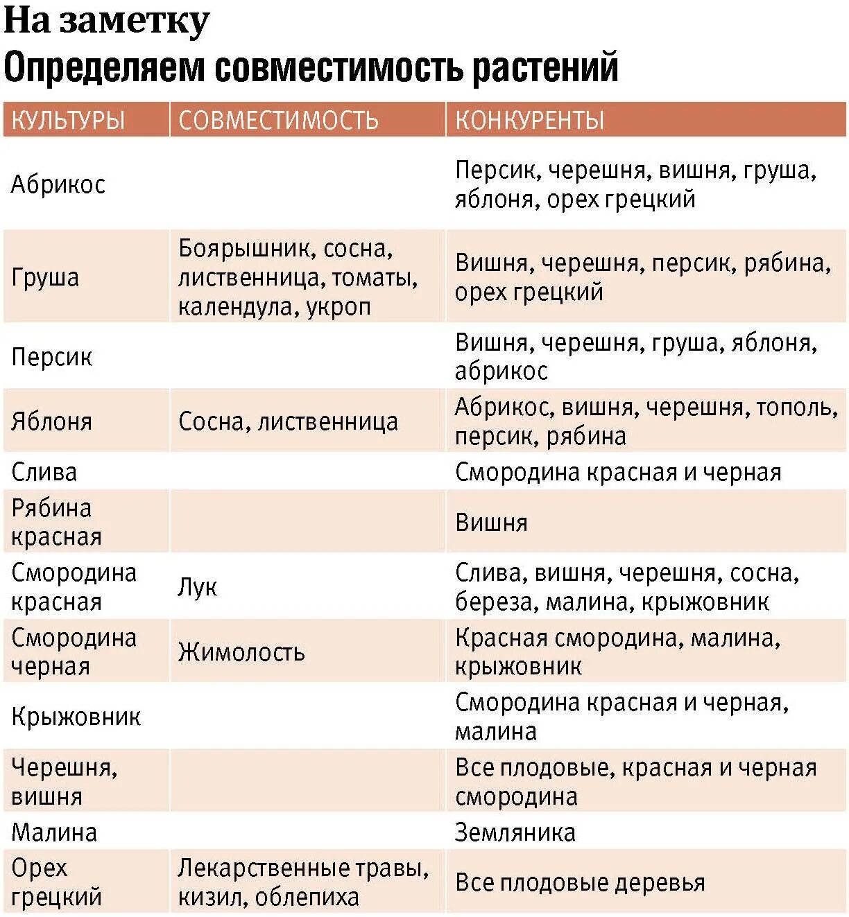 Таблица совместимости плодовых деревьев и кустарников. Совместимость посадок плодовых деревьев и кустарников таблица. Таблица совместимости плодово-ягодных деревьев и кустарников. Совместимость посадки плодовых деревьев и кустарников в саду. Соседи яблони