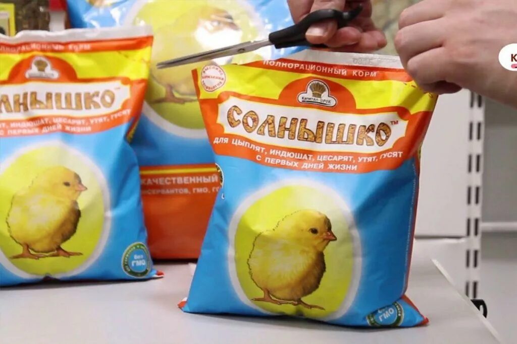 Комбикорм солнышко для цыплят. Комбикорм солнышко для цыплят. Первый корм для цыплят. Полнорационный корм солнышко, для цыплят, 700 гр. Солнышко для цыплят с первых дней жизни.
