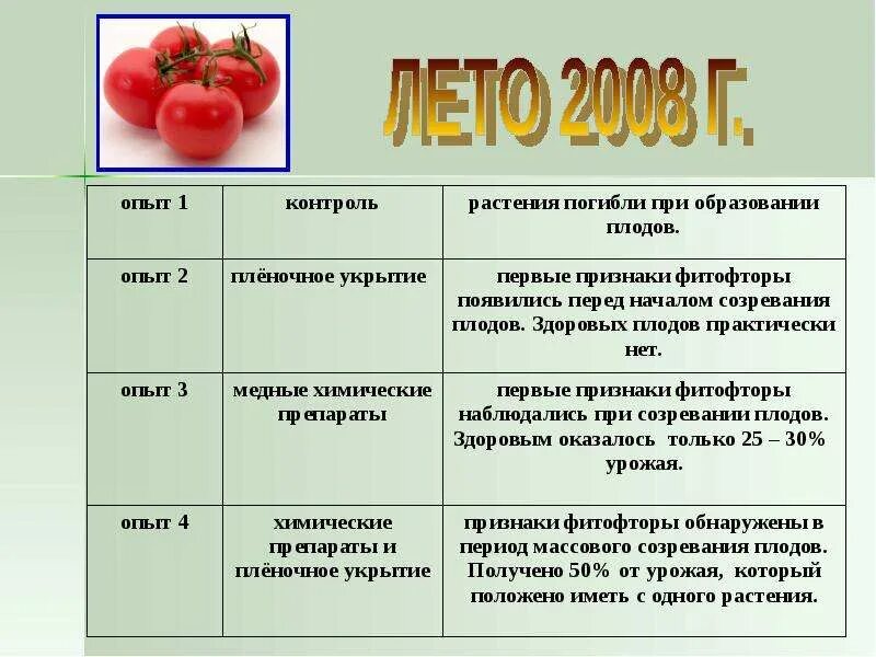 Степень зрелости томатов. Стадии созревания томатов. Степени созревания томатов. Этапы созревания помидоров.