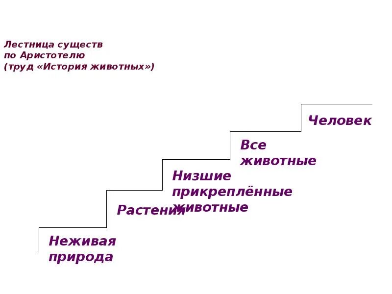 Лестница существ ламарка. Лестница существ ламарка