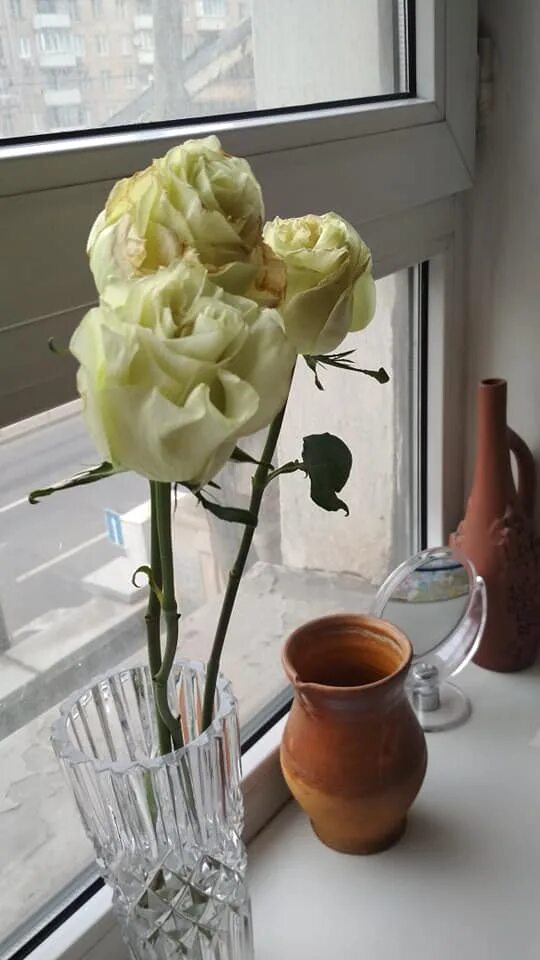 Цветы в вазе завяли. Увядающий букет на столе. Розы завяли в вазе. Домашние розы в вазе домашние.