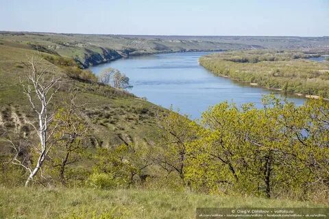 Погода волгоградская область донская