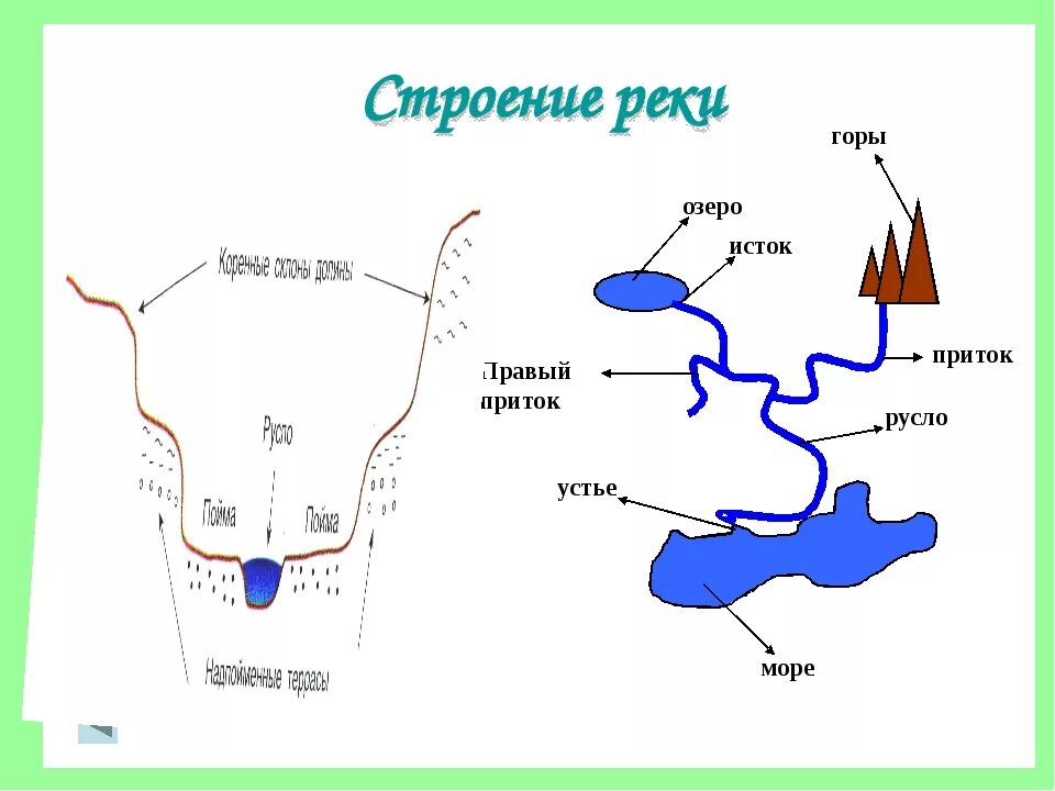 Кура Устье и Исток реки. Схема реки Исток приток Устье. Исток реки Устье реки правый приток левый приток. Схема Речной системы. Притоки порядку