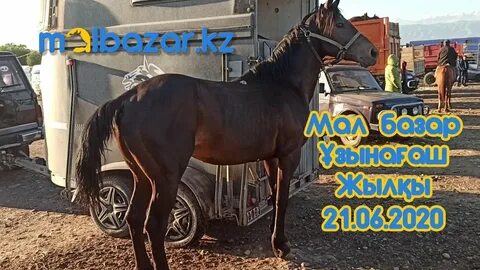 Мал видеоролик