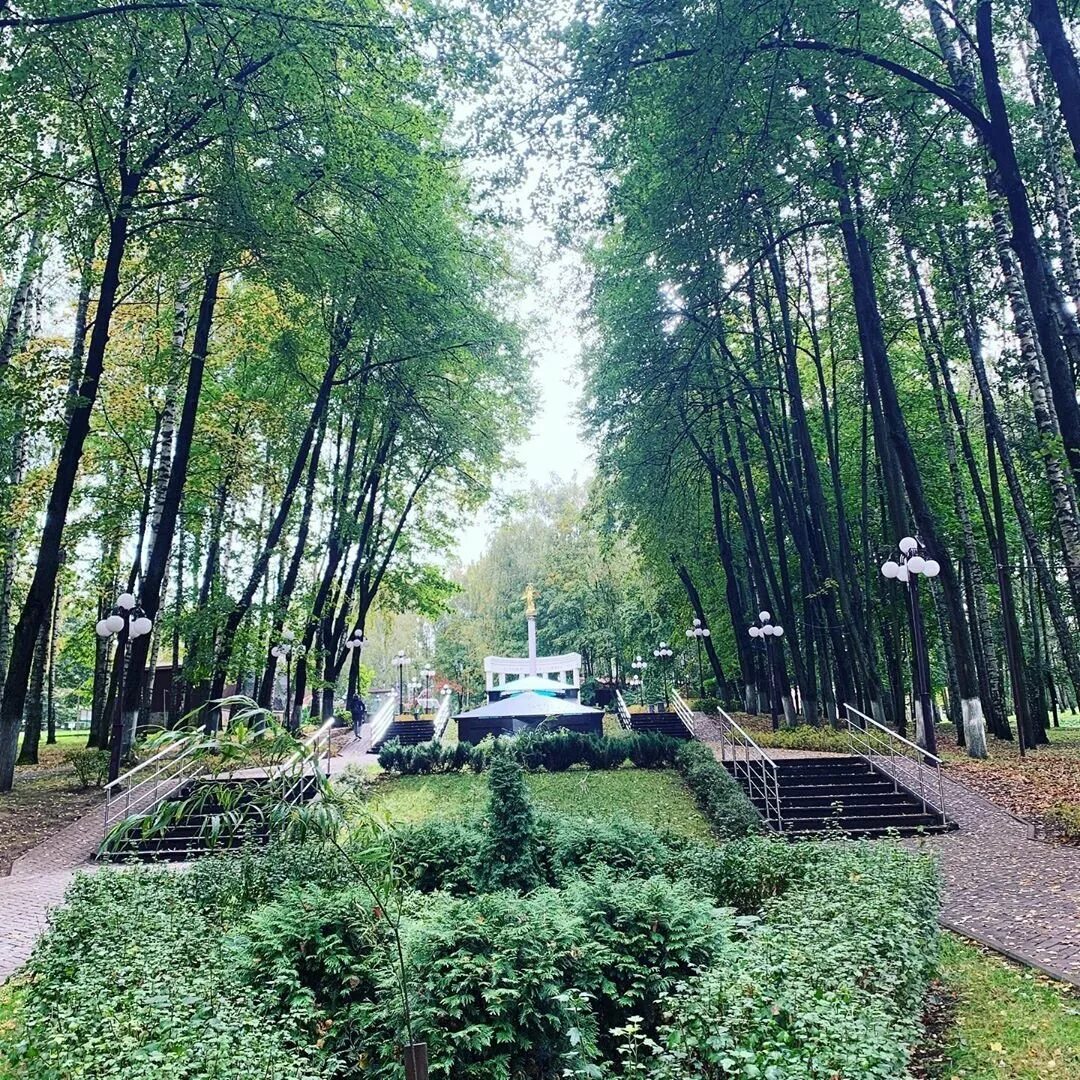 Парк березовая роща москва. Парк березовая роща дмитров. пкио березовая роща дмитров. парк культуры и отдыха березовая роща дмитров. парк березовая роща дмитров сейчас.