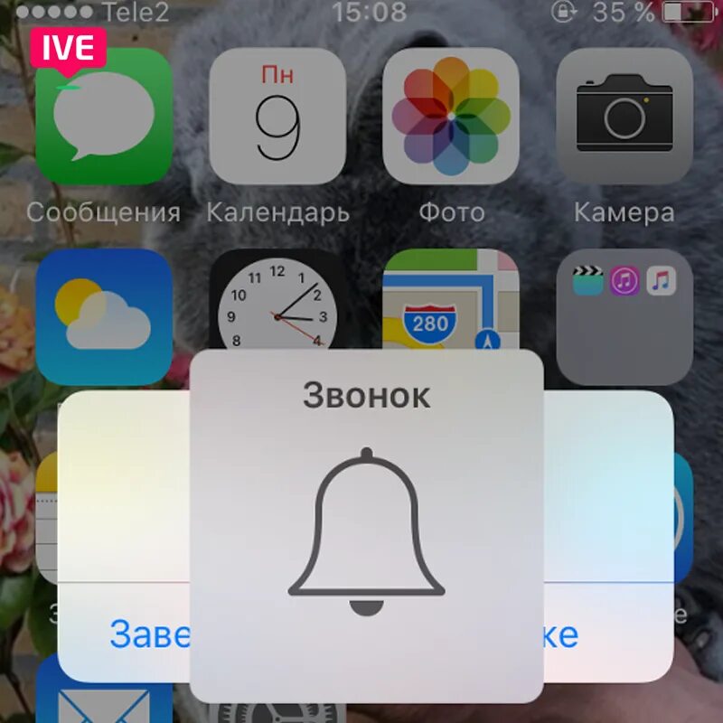 Пропал звук на айфоне. Iphone пропал звук. Пропал звук на телефоне айфон. Iphone 11 нет звука.