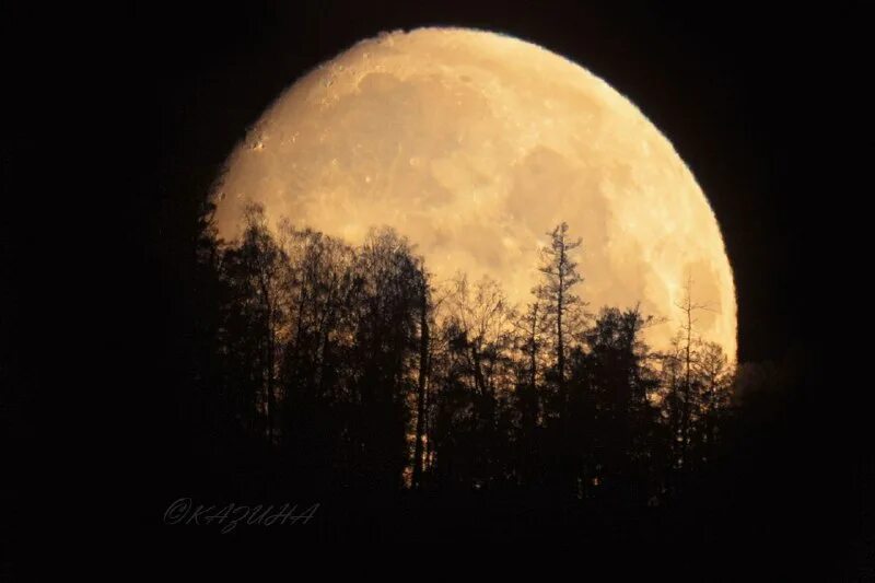 луна в сыктывкаре. луна в сыктывкаре. пепельный цвет луны. луна в сыктывкаре. невероятная луна.