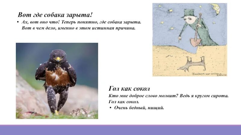 Где тут собака. Фразеологизм так вот где собака зарыта. вот где собака зарыта. где собака зарыта фразеологизм. собака зарыта значение.