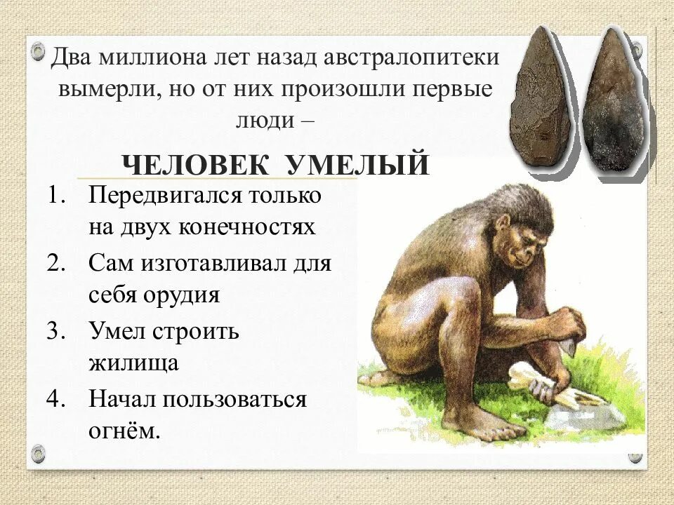 Как появились люди. Как появился человек. Как появился человек на земле. Откуда появились люди. Как появился первый человек.