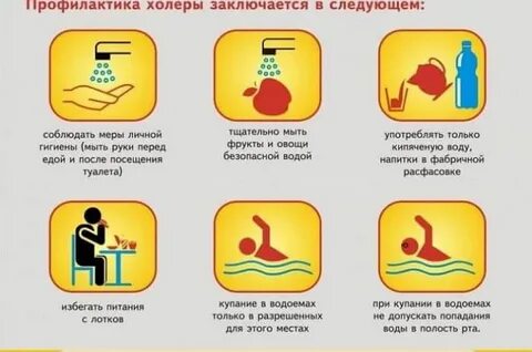 Холера причины профилактика