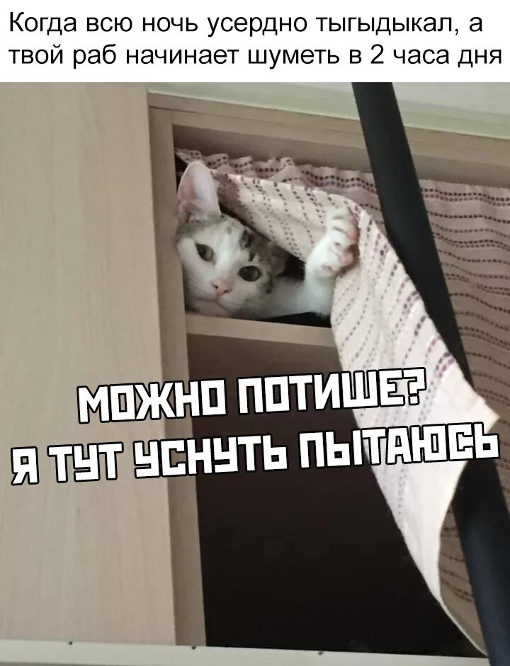 Чтение смешные картинки. Паршивый день. Малахов урина. Внаше мире много психов. У нас чаепитие мем.