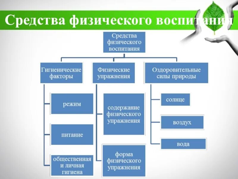 Естественные силы природы и гигиенические факторы. Средства физического воспитания. Методы и факторы физического воспитания. Гигиенические факторы средств физического воспитания. Перечислите средства физического воспитания.