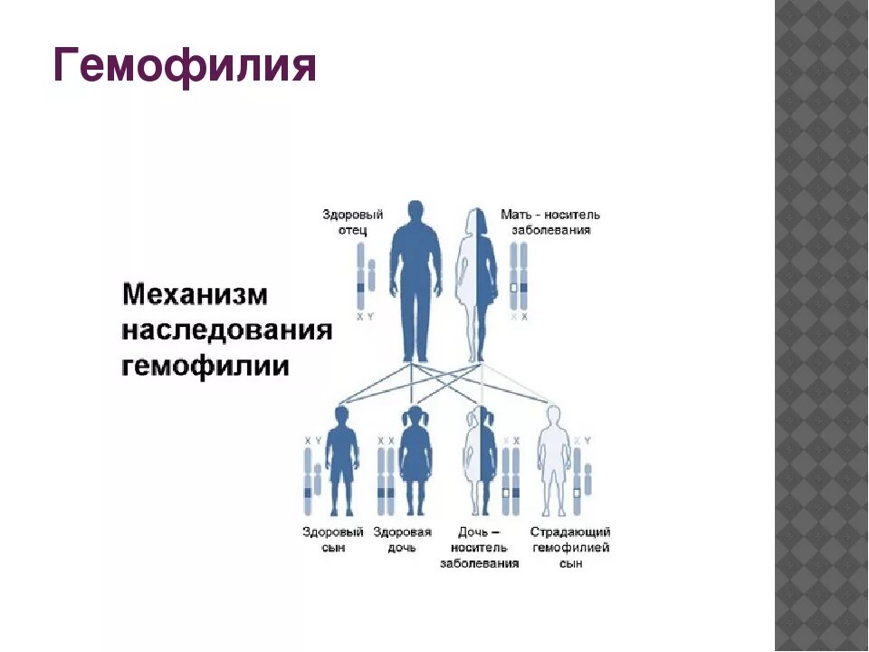 Рождение ребенка больного гемофилией. Наследование признаков гемофилии. Гемофилия Тип наследования. Гемофилия генетика Тип наследования. Механизм наследования гемофилии.