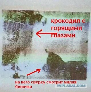 Тест на шизофрению корова картинка