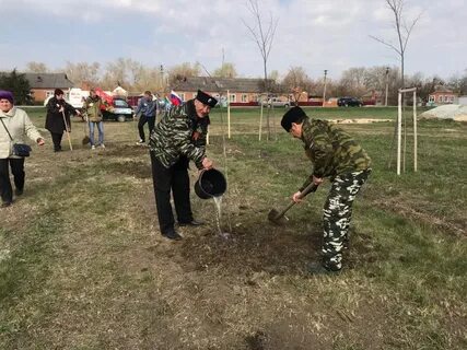 Погода х память