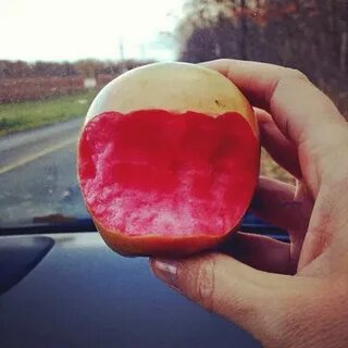 Apple pearl