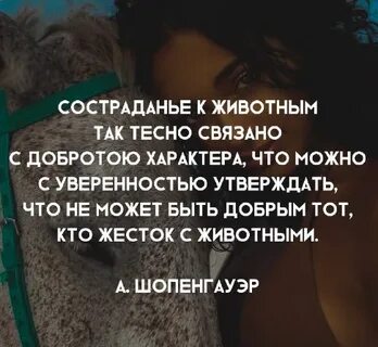 Вся жизнь человека связана со страданиями