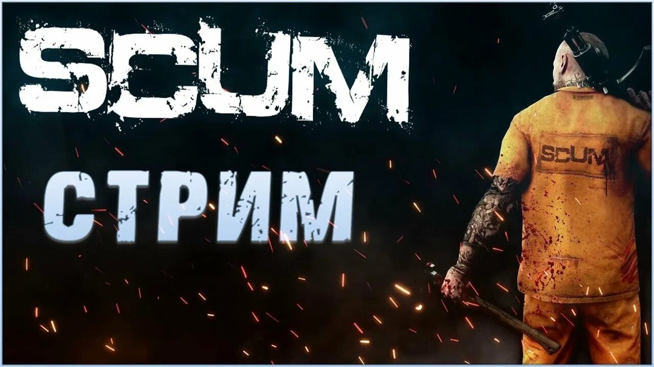 Стрим обзор. Стример scum. scum стрим.