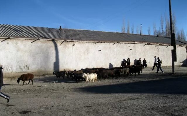Погода в басманда на 10 дней. Басманда Таджикистан. Таджикистан деревня. Город Ганчи в Таджикистане. Дехаи басманда.