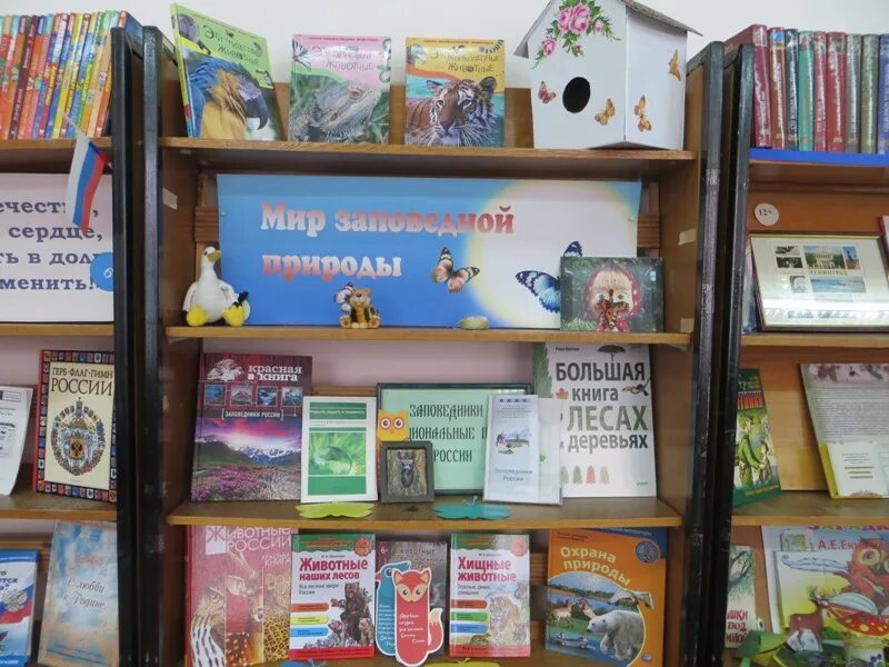 Заповедный мир природы книжная выставка в библиотеке. Книжная выставка ко дню заповедников и национальных парков. Заповедники мероприятия в библиотеке для детей. День заповедников выставка. День заповедников и национальных парков мероприятия.