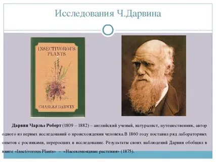 Ч дарвин научная область