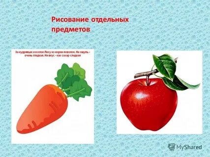 А также отдельных предметов