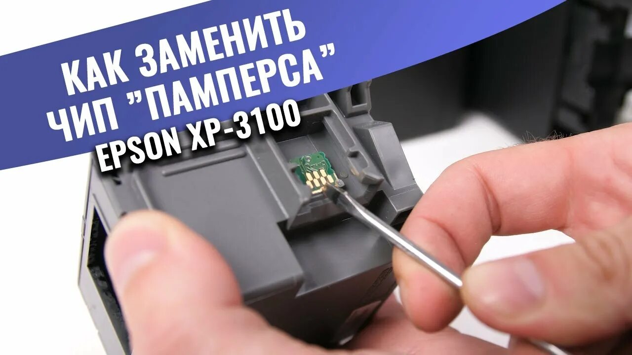 Epson l3100 сброс памперса