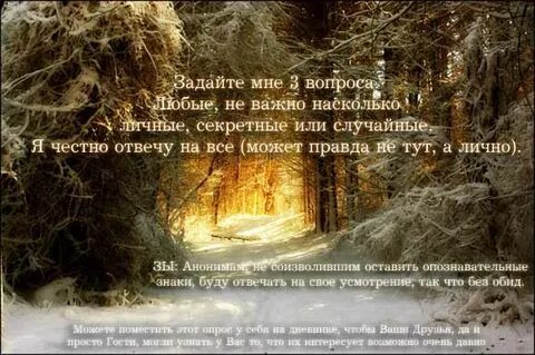 Истина тут