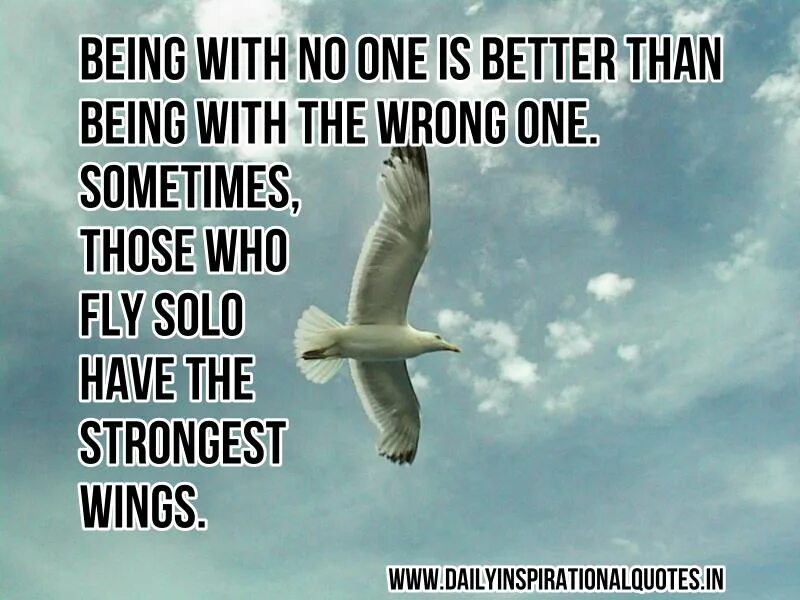 Wings quotes. Крыло самолёта цитаты. Those who Fly Alone have the strongest Wings. Who can Fly. Sometimes wrong