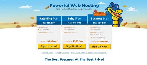 hosting-options-hostgator - TechGirl.com.