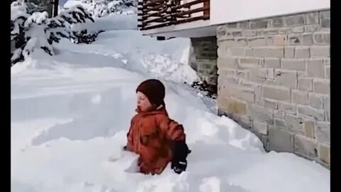 Мальчики бросились