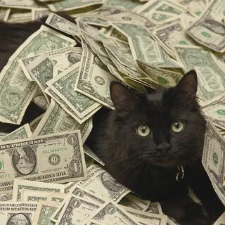 Cats много денег последняя версия