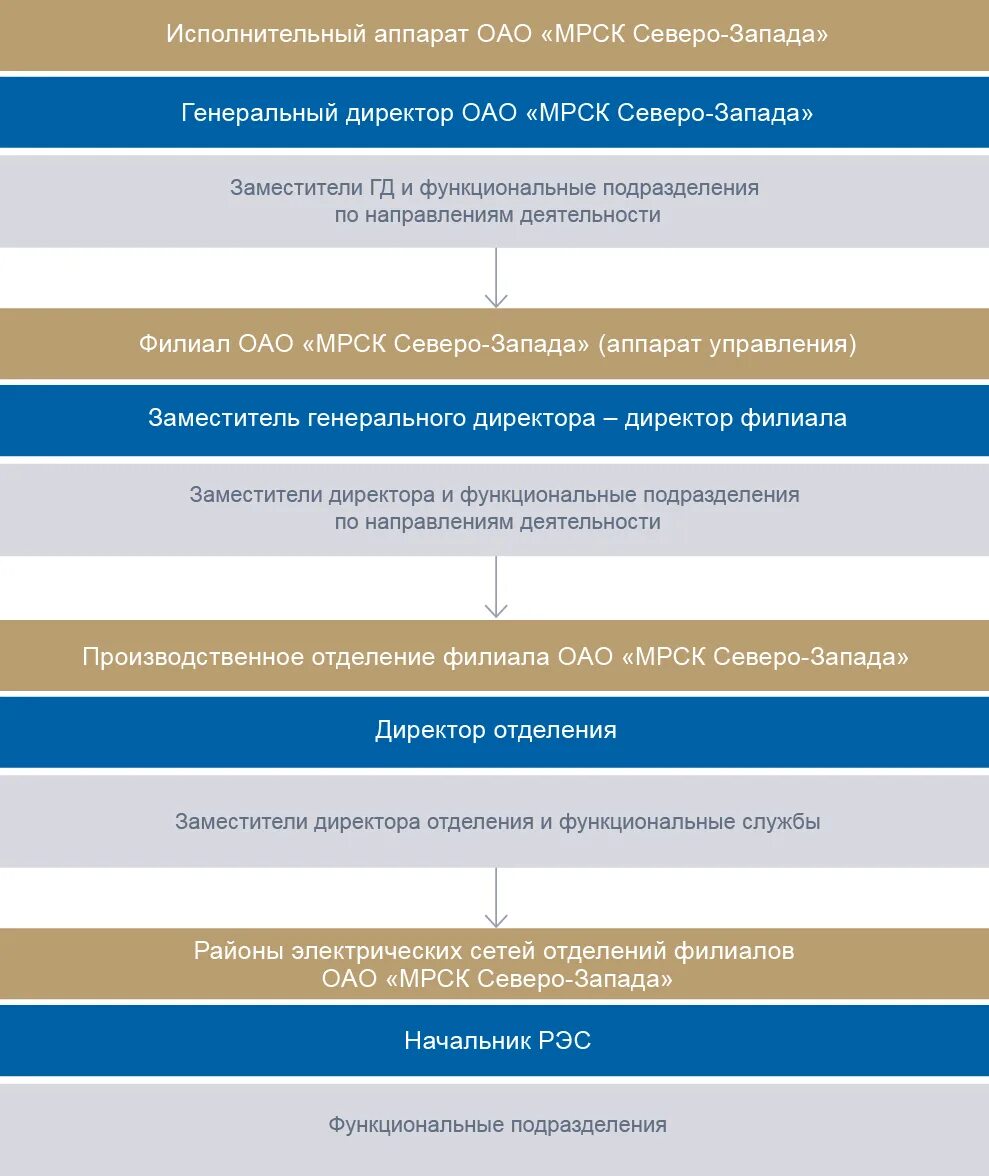 Исполнительный аппарат это. Организационная структура пао россетти. Процессы ведения нси. Организационная структура управления пао россети. Организационная структура предприятия электроэнергетики.