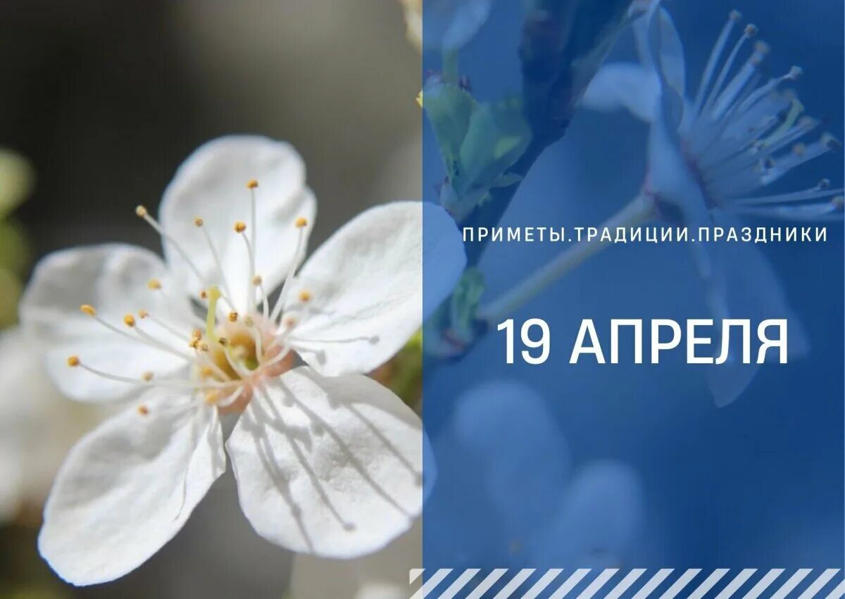 4 апреля что делать. Евтихий 19 апреля. Евтихий тихий да Ерема пролетный 19 апреля. Вторник апреля. День Крыма 19 апреля.