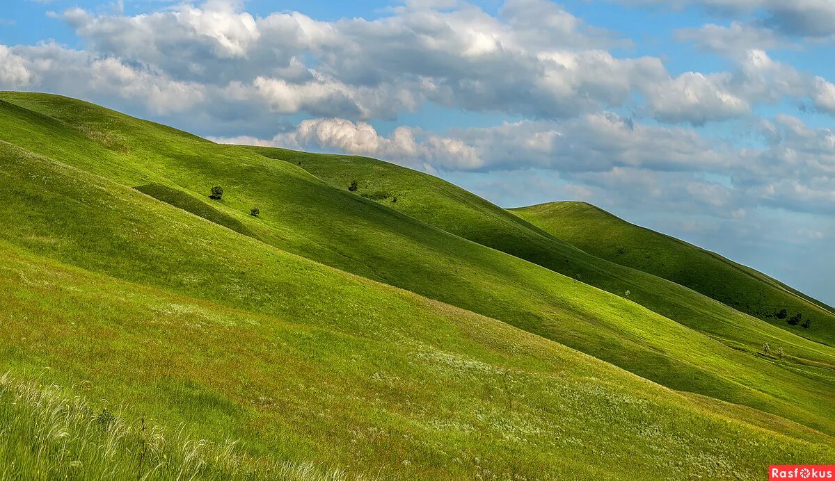 Какие есть холмы