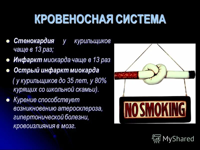 Раз это фото. Раз это фото. Раз это фото. Раз это фото. Раз это фото.