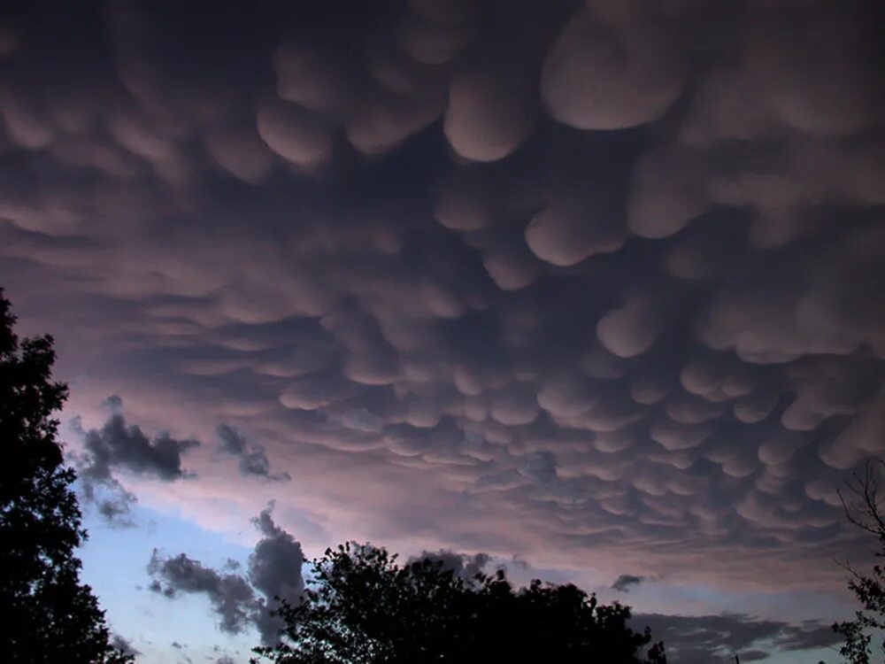 Облака какое явление. Cumulonimbus Mammatus. Ундулатус асператус. Вымеобразные трубчатые облака. Облака мамматусы.