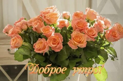 Доброе утро букет роз с надписями