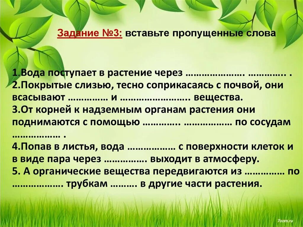 Что значит слово пропущенный. Транспорт веществ у растений. Передвижение веществ у растений. Передвижение веществ у растений 6 класс. Передвижение воды в растении.