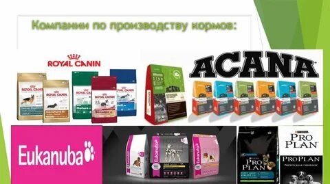Корм фирмы
