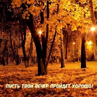 Твой вечер