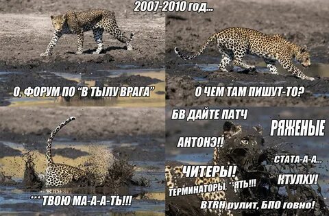 Дай леопард