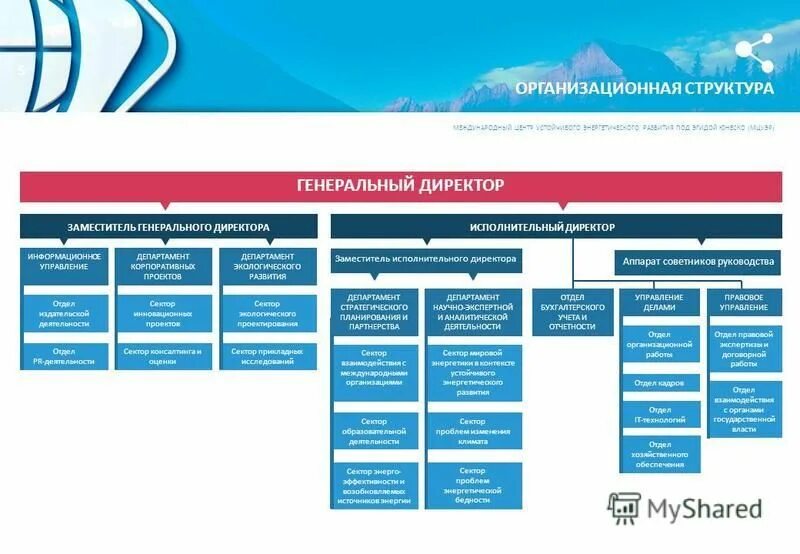 организационная структура управления ооо леруа мерлен. исполнительный директор заместитель генерального директора. исполнительный директор заместитель генерального директора. исполнительный и генеральный директор разница. различия генерального директора от исполнительного.