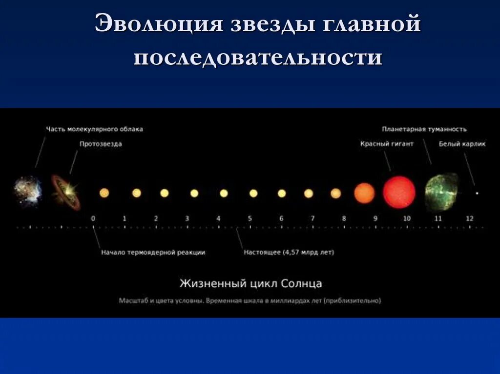 Классы белых карликов. Жизненный цикл звезд главной последовательности. Жизненный цикл звезды схема. Жизненный цикл звезды спектрального. Эволюция звезд главной последовательности.