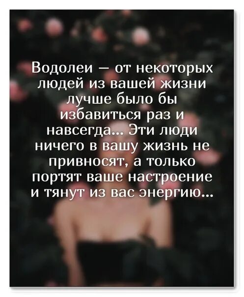 Водолею нравится девушка. Стихи про Водолея женщину. Цитаты про Водолеев. Высказывания о Водолеях. Высказывания о Водолеях женщинах.