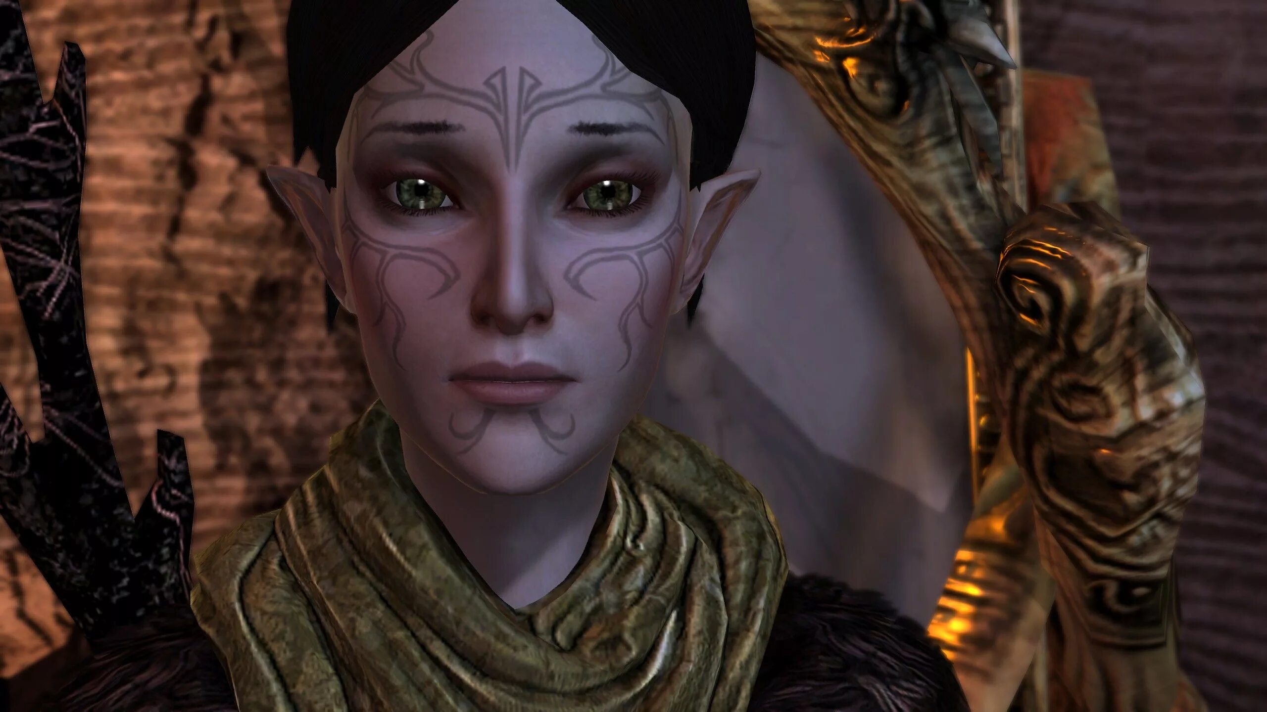 Dragon age 3 эльфы. Dragon age искатели истины. Рпг драгон эйдж. Алистер и морриган. Одежда магов драгон эйдж.