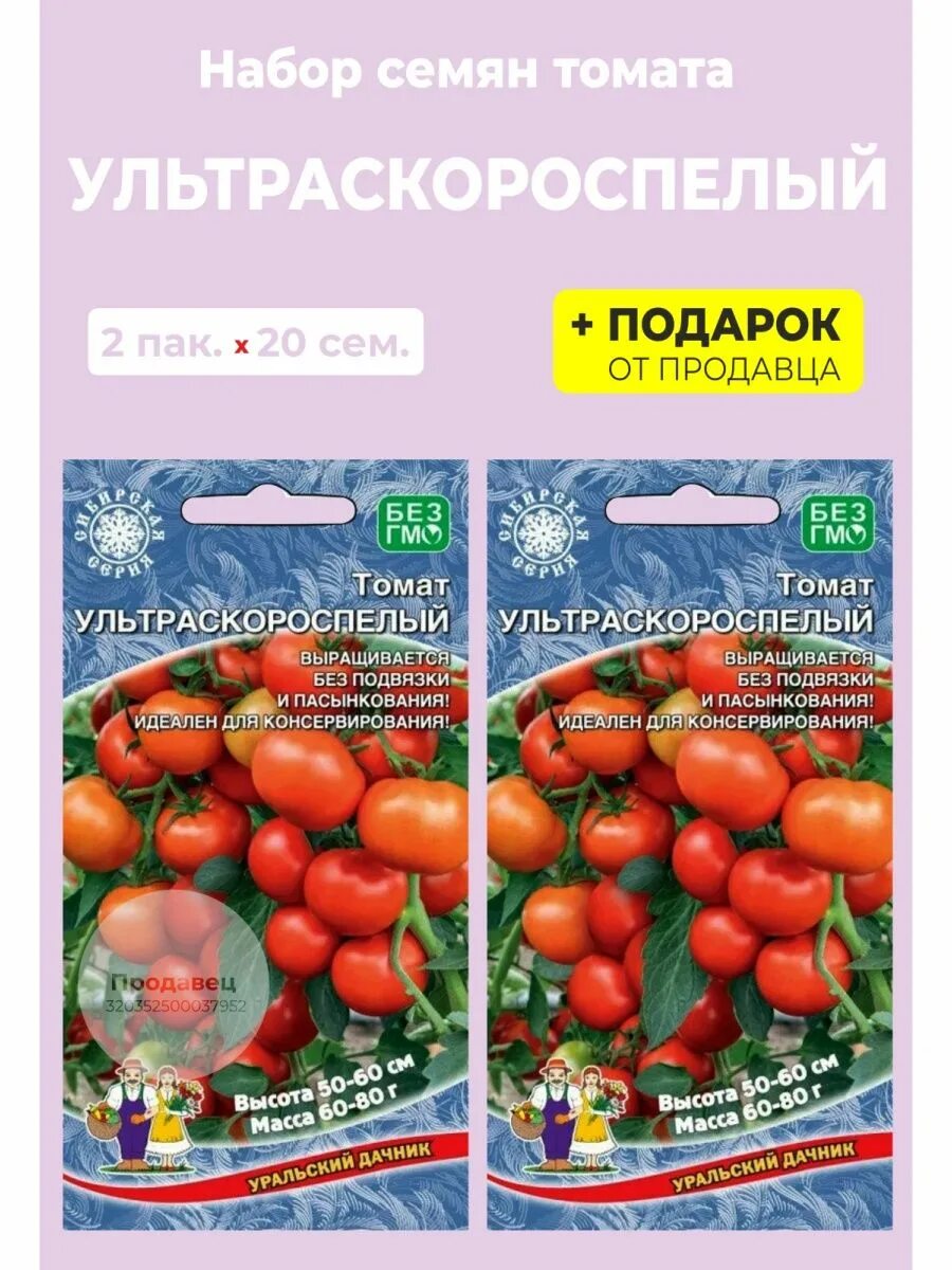 Ультраскороспелые томаты фото. Томат ультраскороспелый уральский дачник. томат парниковый ультраскороспелый. ультраскороспелые, низкорослые помидоры. ультраскороспелые сорта томатов для открытого грунта.