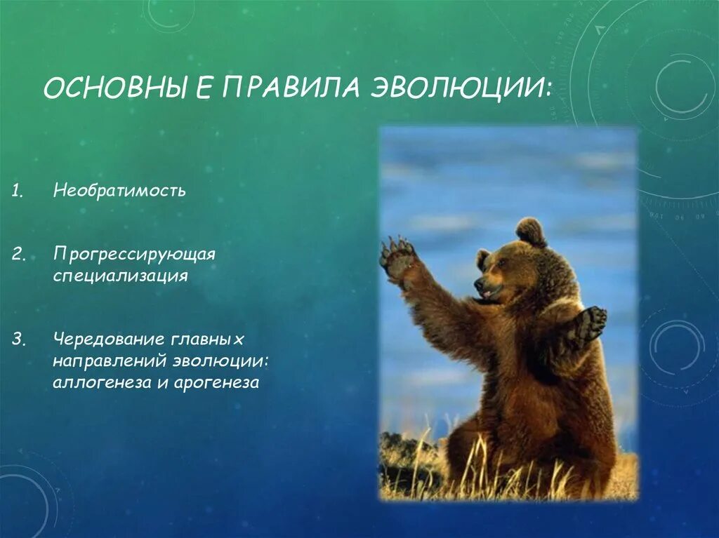 Специализация в эволюции. Правило направленности эволюции. Специализация в эволюции. Теория рнк мира кратко. Психология эволюции.