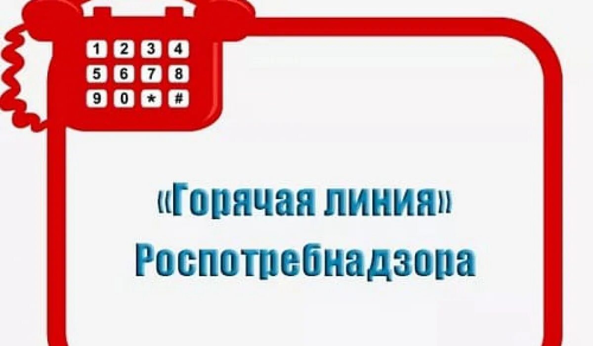 Налоговая сайт горячая линия. Горячая линия по вопросам детского отдыха. Горячая линия. Горячая линия по детскому отдыху. Горячая линия по вопросам защиты прав потребителей.