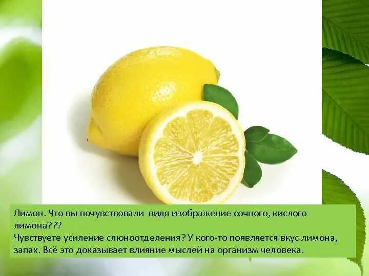 Tom ford цитрус. Сладкий лимон. Лимонил мулкул явм. Эфирное масло лимон, 10мл. Образ лимона.